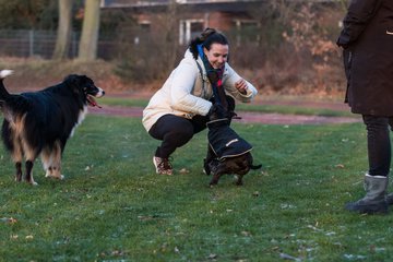 Bild 58 - Hundeshooting